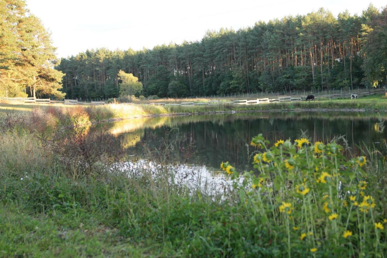 Quatro Osrodek Jezdziecki - Gospodarstwo Agroturystyczne Pobiedziska Exterior photo