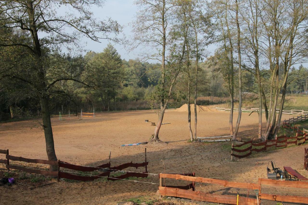 Quatro Osrodek Jezdziecki - Gospodarstwo Agroturystyczne Pobiedziska Exterior photo