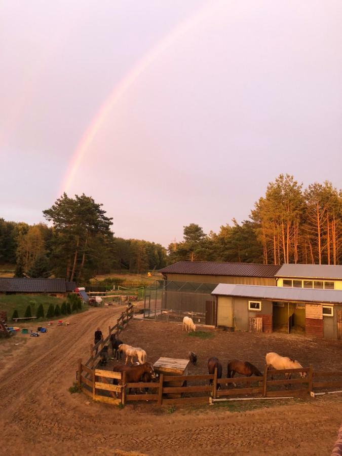 Quatro Osrodek Jezdziecki - Gospodarstwo Agroturystyczne Pobiedziska Exterior photo