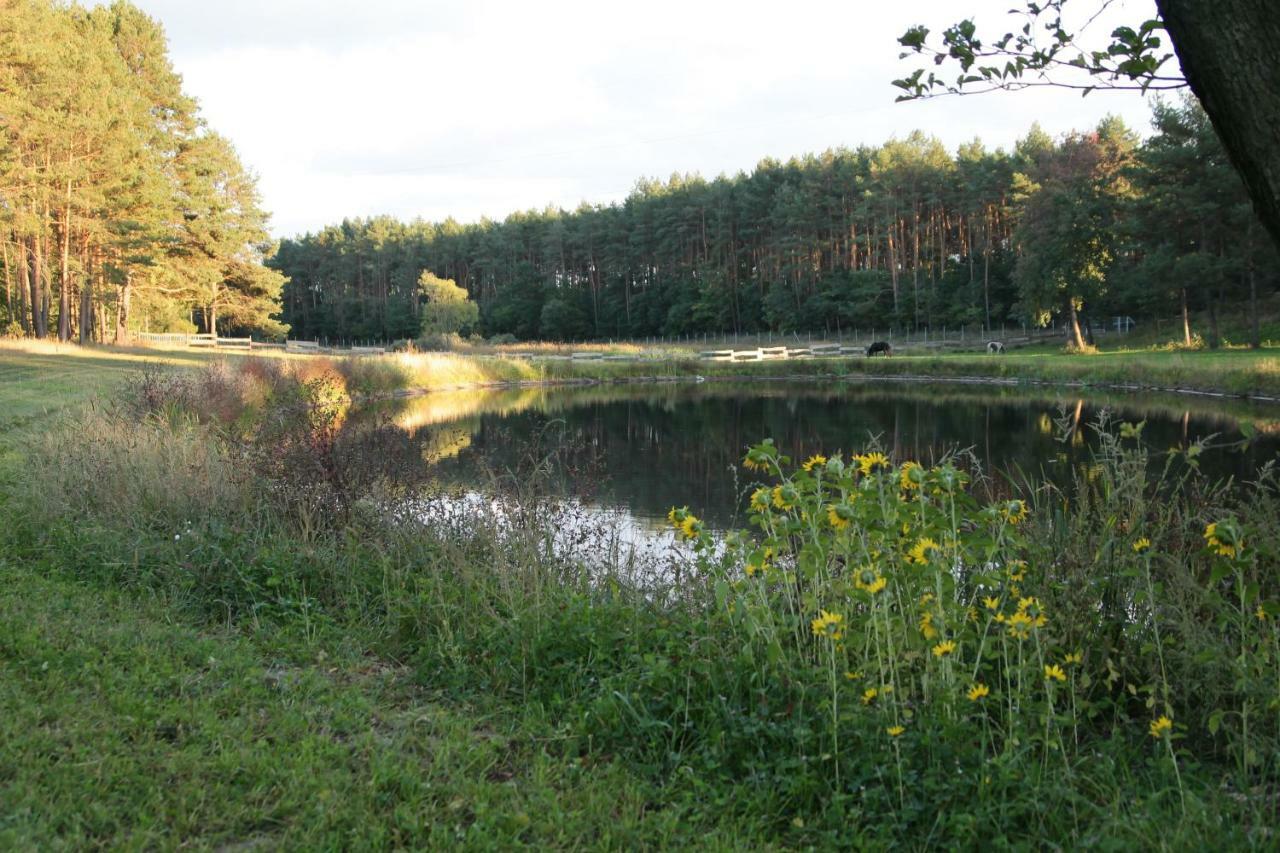 Quatro Osrodek Jezdziecki - Gospodarstwo Agroturystyczne Pobiedziska Exterior photo